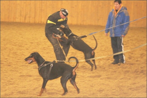 Training in Finland 1/2008