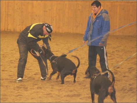 Training in Finland 1/2008