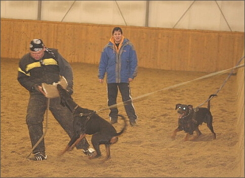 Training in Finland 1/2008