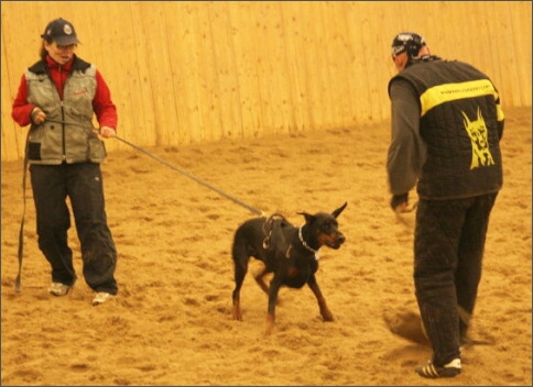 Training in Finland 1/2008