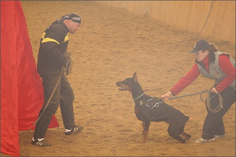 Training in Finland 1/2008