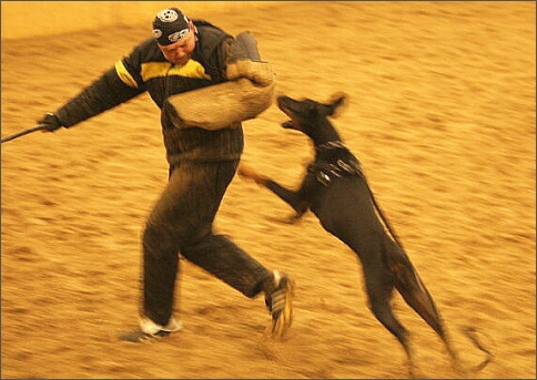 Training in Finland 1/2008