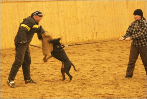 Training in Finland 1/2008