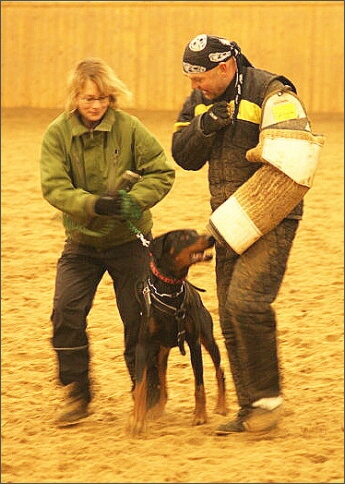 Training in Finland 1/2008