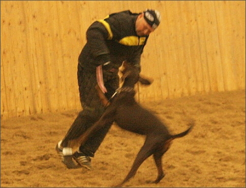 Training in Finland 1/2008