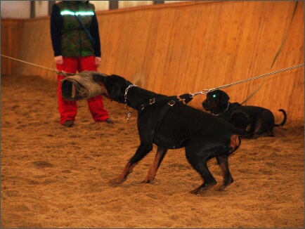 Training in Finland 1a/2008