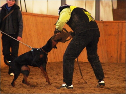 Training in Finland 1a/2008