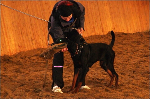 Training in Finland 1a/2008