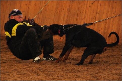 Training in Finland 1a/2008