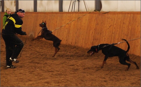 Training in Finland 1a/2008