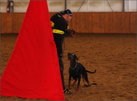 Training in Finland 1a/2008