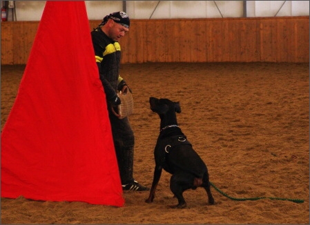 Training in Finland 1a/2008