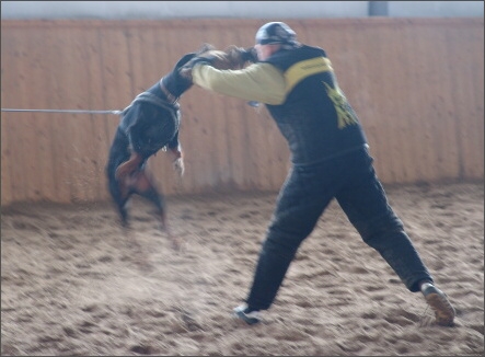 Training in Finland 1a/2008