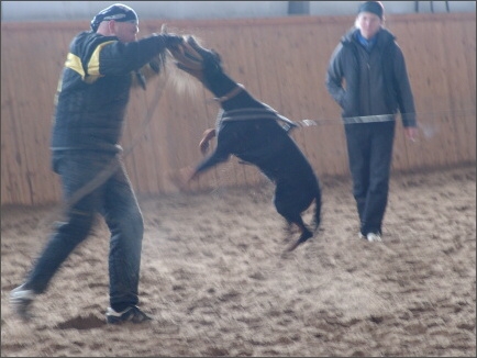 Training in Finland 1a/2008