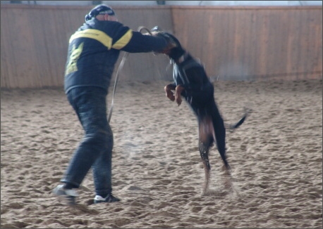 Training in Finland 1a/2008