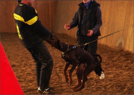 Training in Finland 1a/2008