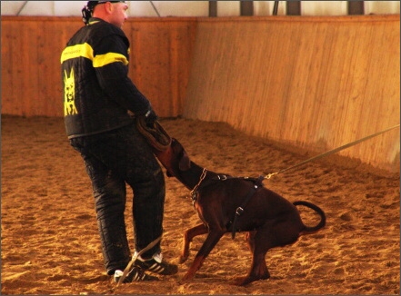 Training in Finland 1a/2008