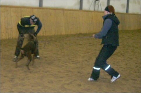 Training in Finland 1a/2008