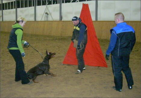 Training in Finland 1a/2008