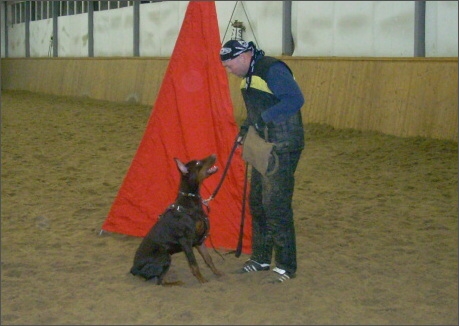 Training in Finland 1a/2008