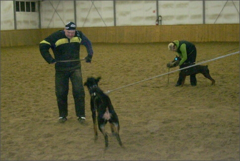 Training in Finland 1a/2008