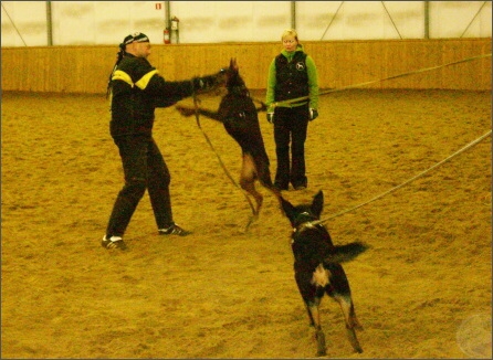 Training in Finland 1a/2008