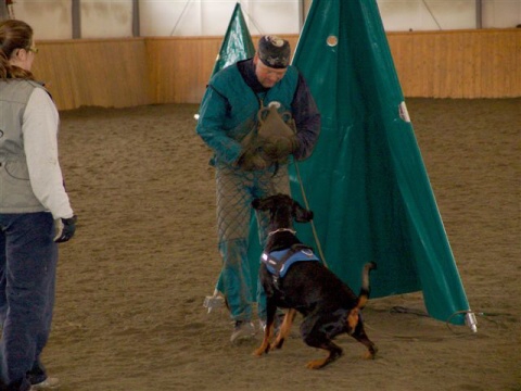 Training in Finland 3/2007