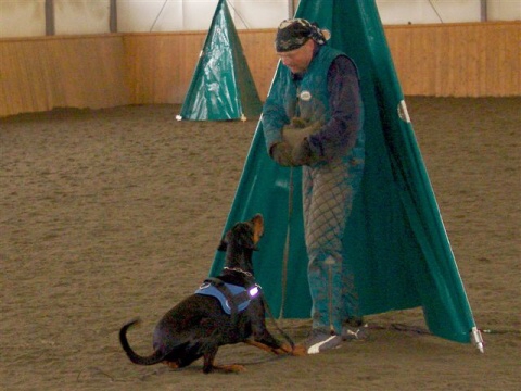 Training in Finland 3/2007