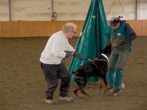 Training in Finland 3/2007