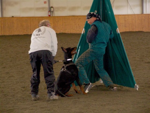 Training in Finland 3/2007