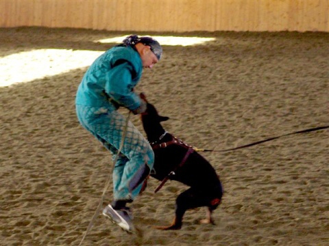 Training in Finland 3/2007