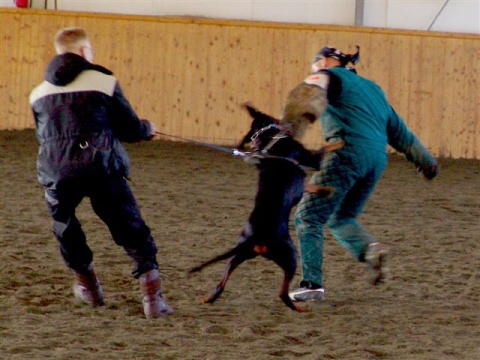 Training in Finland 3/2007