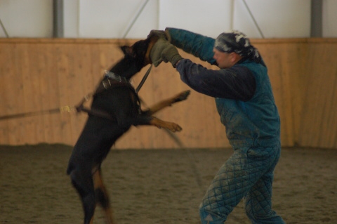 Training in Finland 3/2007