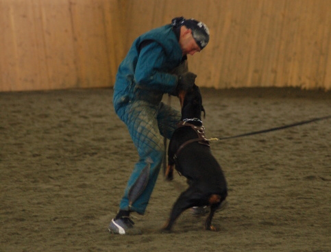 Training in Finland 3/2007