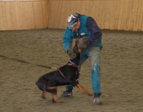 Training in Finland 3/2007