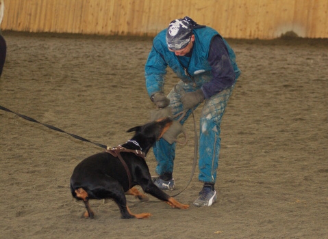 Training in Finland 3/2007