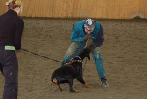 Training in Finland 3/2007