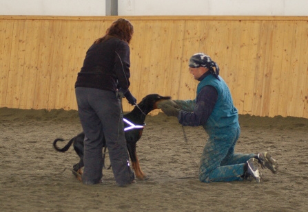 Training in Finland 3/2007