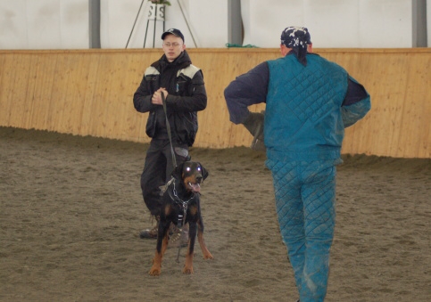 Training in Finland 3/2007