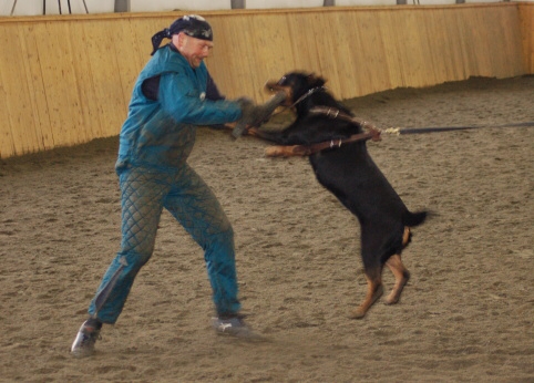 Training in Finland 3/2007