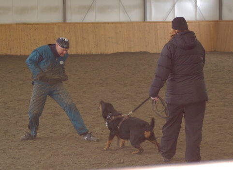 Training in Finland 3/2007