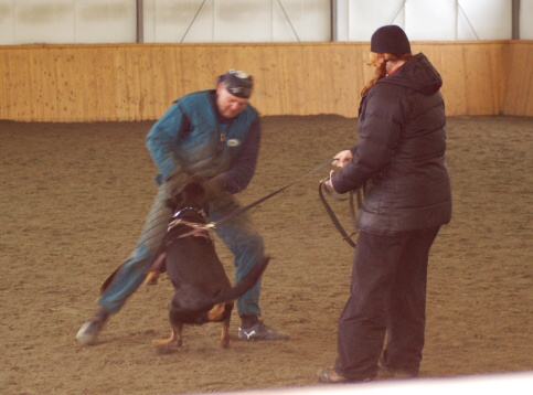 Training in Finland 3/2007