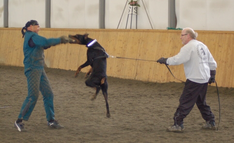 Training in Finland 3/2007