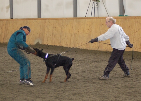 Training in Finland 3/2007