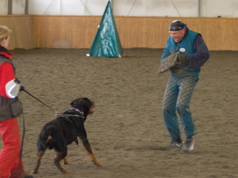 Training in Finland 3/2007