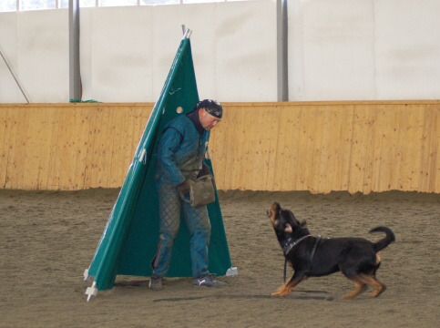 Training in Finland 3/2007