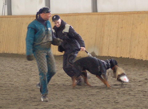 Training in Finland 3/2007