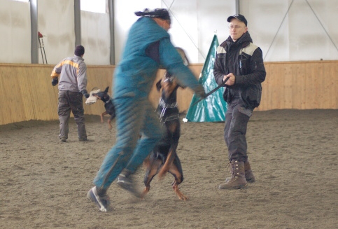 Training in Finland 3/2007