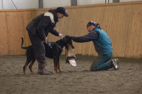 Training in Finland 3/2007