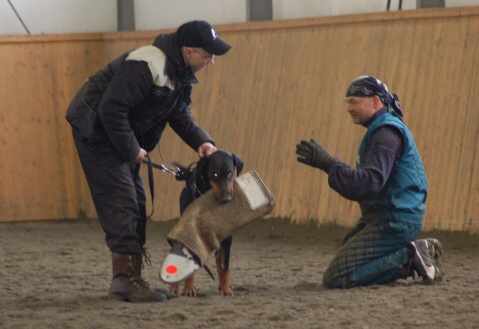 Training in Finland 3/2007